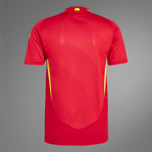 Spain Jersey